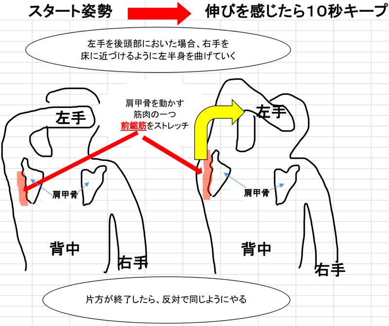 アライメントとは骨格の配列 アライメントを整えて姿勢を変えるストレッチとエクササイズを紹介 Michibiki Blog